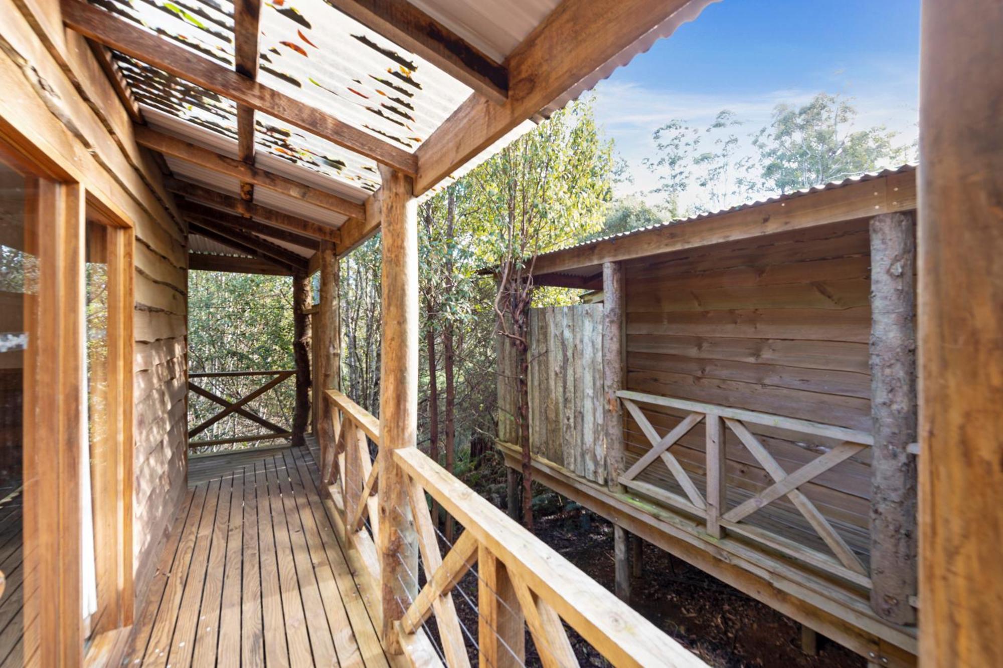 Cradle Forest Inn Moina Exteriér fotografie