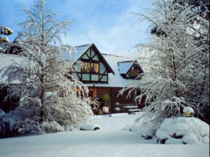 Cradle Forest Inn Moina Exteriér fotografie