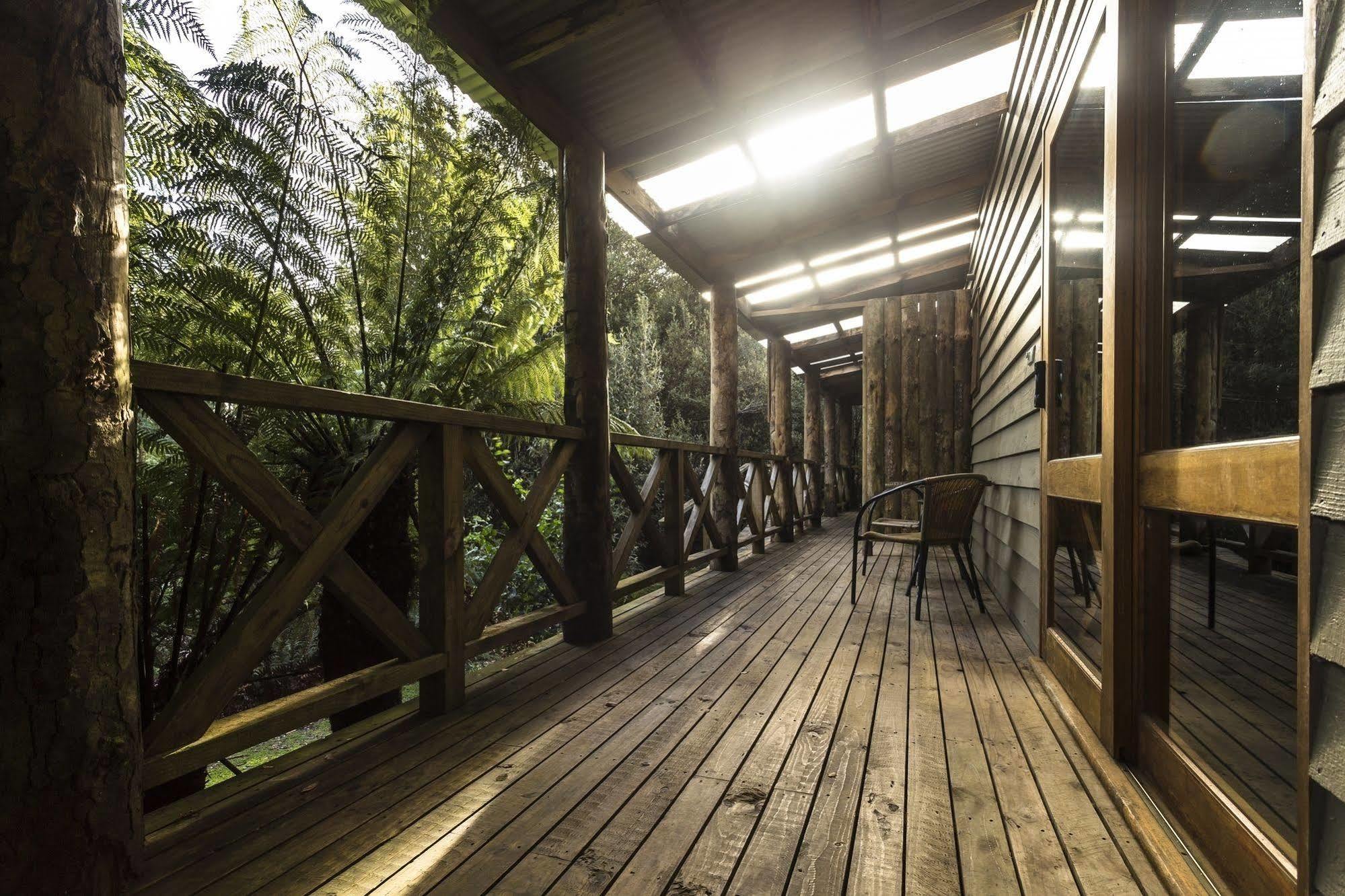 Cradle Forest Inn Moina Exteriér fotografie