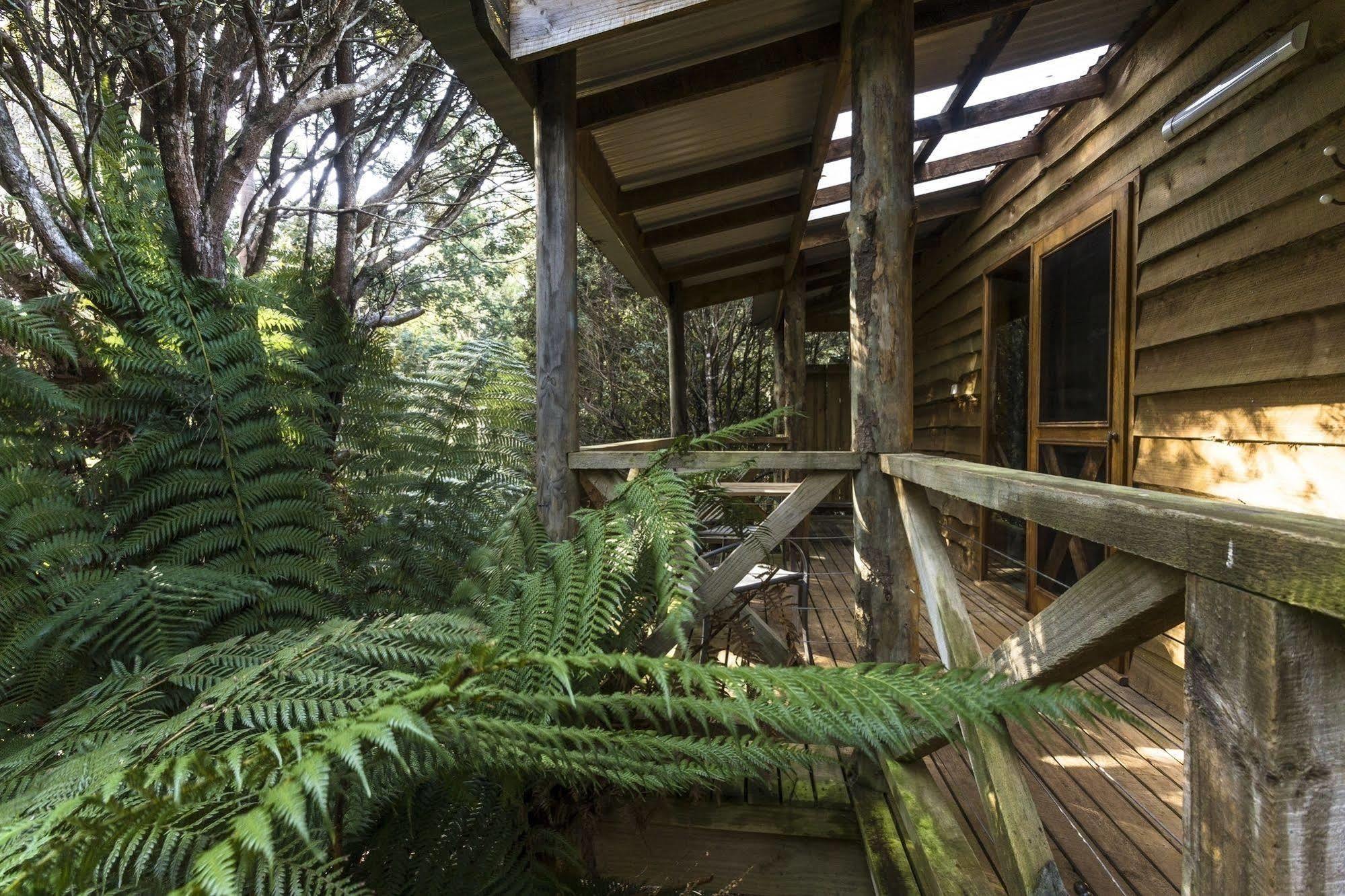 Cradle Forest Inn Moina Exteriér fotografie